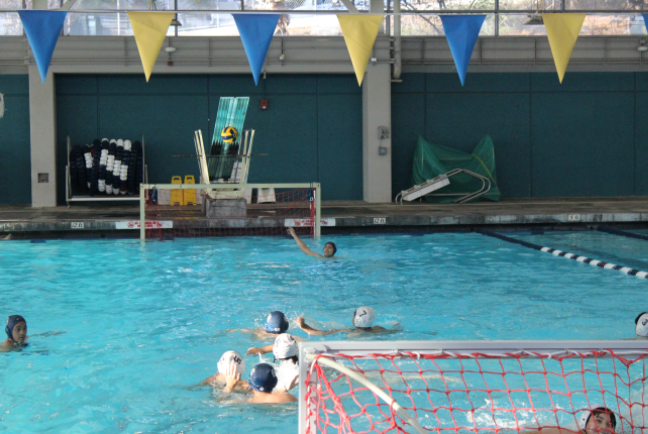 Summer 2021 Water Polo