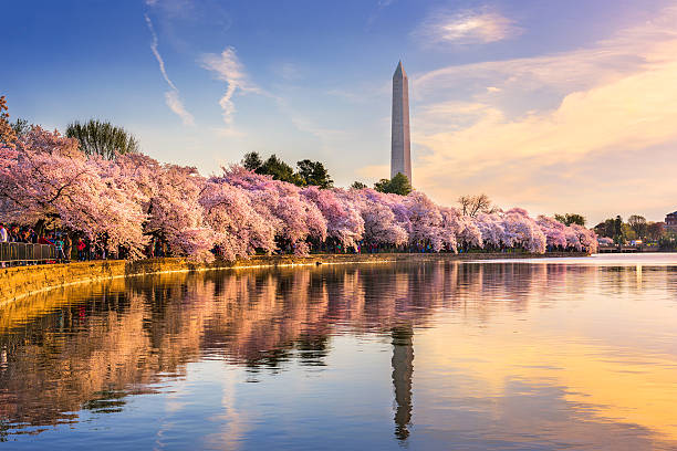 Washington+DC+in+Spring