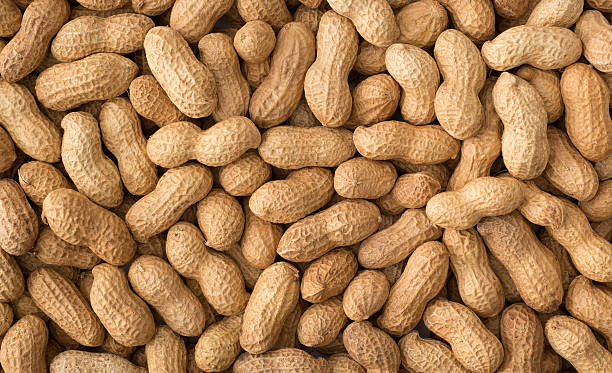 Peanuts+with+shell+%2C+background