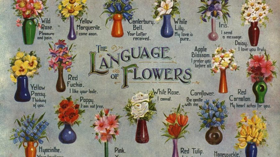Illustrated postcard. Printed in England/The Regent Publishing Co Ltd.